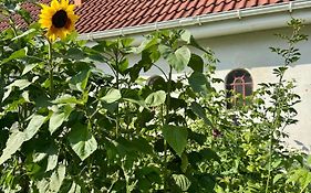 Langagergaard B&B - Thy